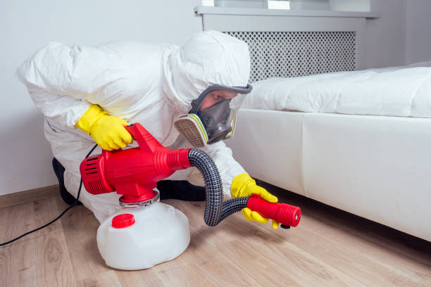 Real Estate Pest Inspections in Ashland, AL